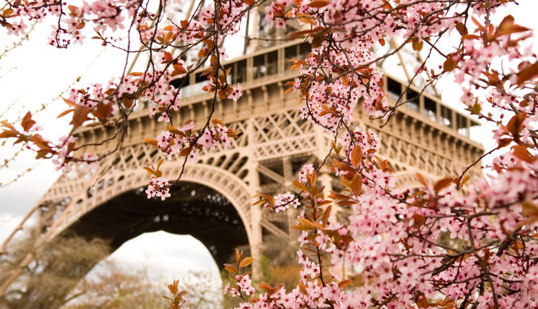 エッフェル塔を発見するためのチケット