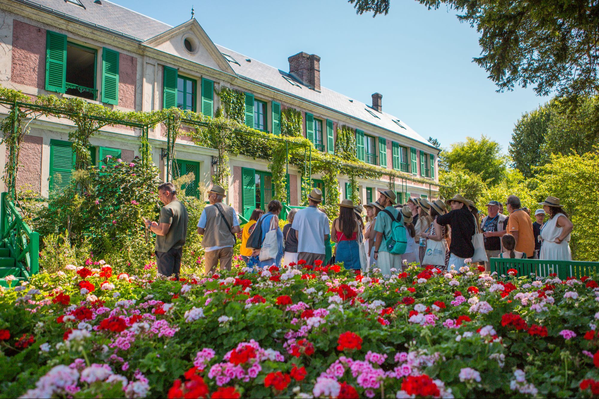 Flower in the garden of Giverny