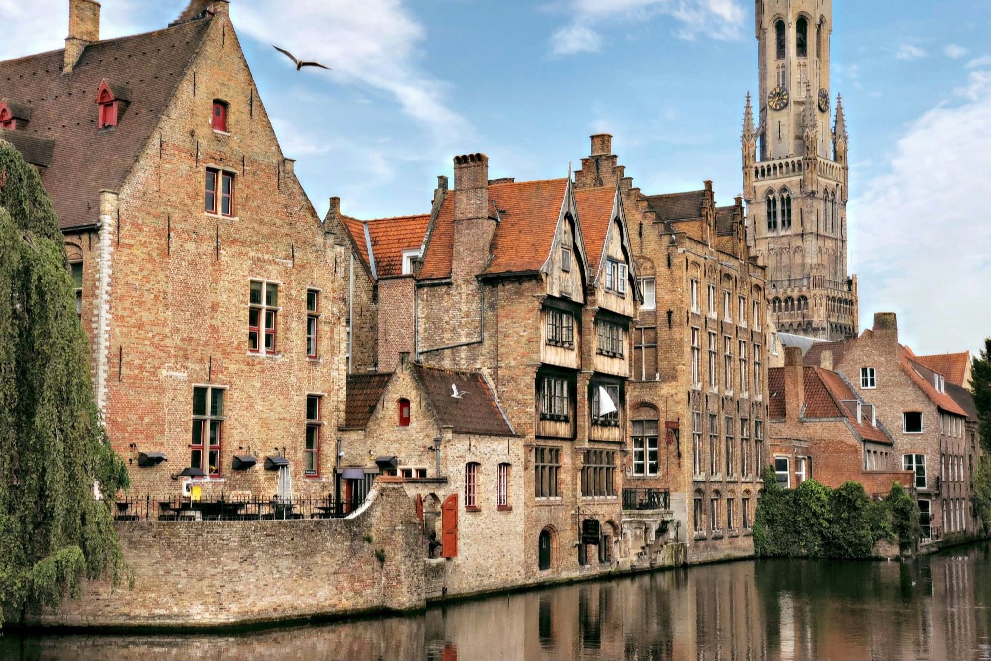 Cruise on the canal of Bruges in summer time